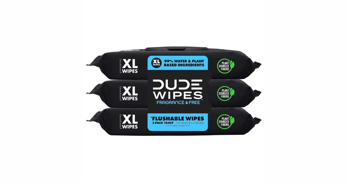 dude wipes